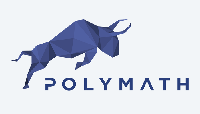 Polymath review