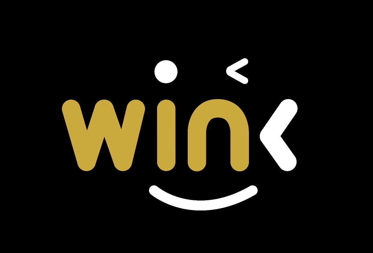 WINkLink review