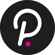 Polkadot review