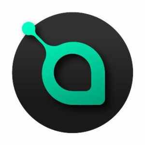 siacoin review