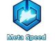 Meta Speed Game Review