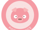 Piggy Finance Review