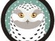 Snowy Owl Review