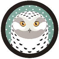 Snowy Owl Review