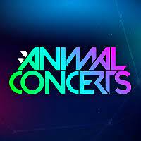 Animal Concerts review