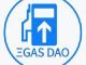 GAS DAO REVIEW