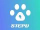 StepD Review