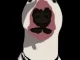 Walter Inu Review