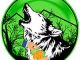 Wolf Safe Poor People (Polygon) Review