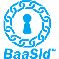 BaaSid Review
