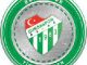 Bursaspor Fan Token Review