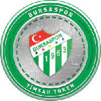 Bursaspor Fan Token Review - Is Bursaspor Fan Token Legit or Scam