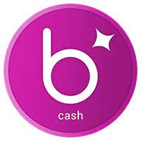 bitcci Cash Review - Is bitcci Cash Legit or Scam