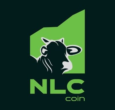 Nelore Coin Review