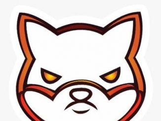 SpookyShiba (new) Review