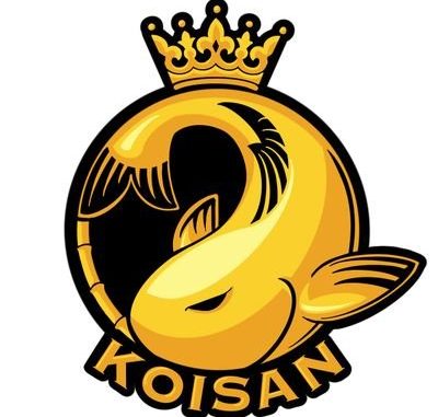 Koisan Review