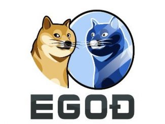 egoD Review