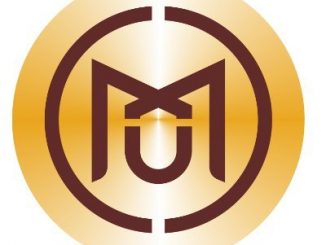 MXM Token Review
