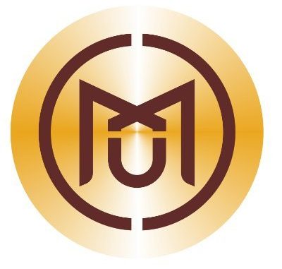 MXM Token Review