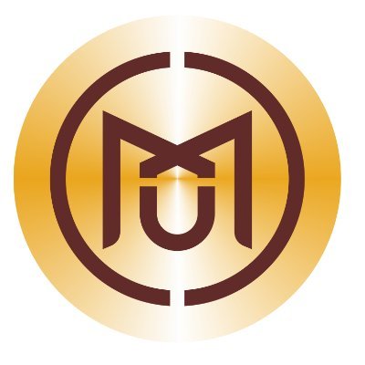 MXM Token Review