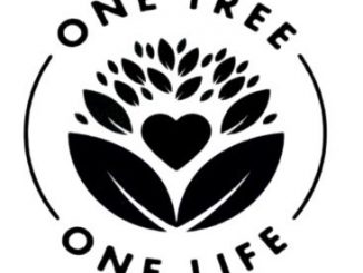 ONE TREE ONE LIFE Review